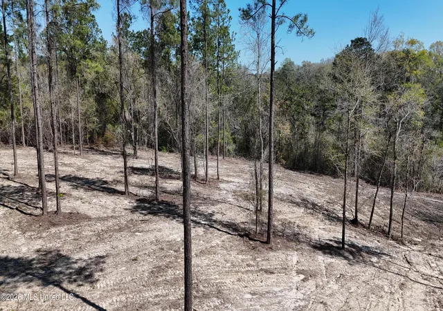 4th image of Nhn Yankee Rd, Lucedale, MS 39452 | MLS# 4143928
