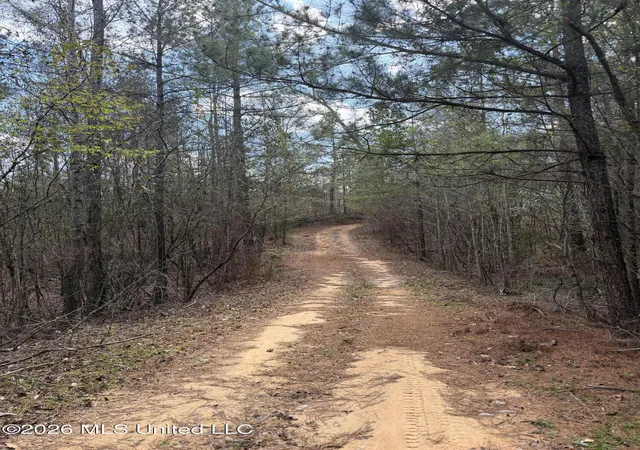 Homes for sale in Meridian, MS | Fairchild Rd, Meridian, MS 39307 | MLS# 4143937