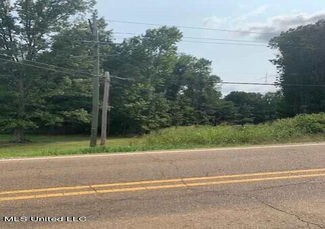 4th image of 3049 Pleasant Hill Rd, Nesbit, MS 38651 | MLS# 4143955