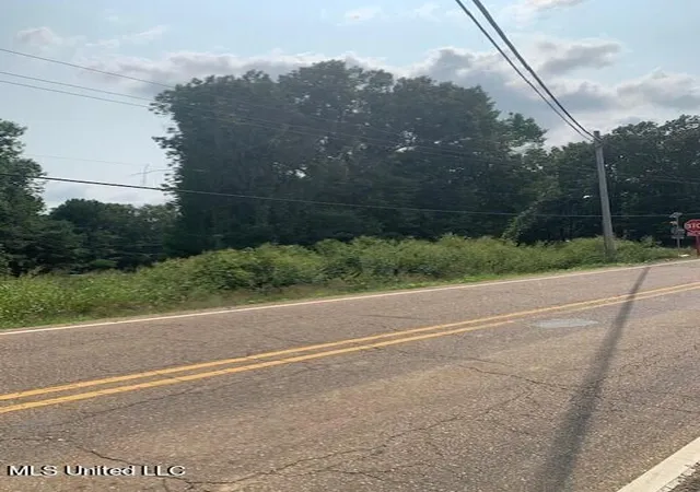 5th image of 3049 Pleasant Hill Rd, Nesbit, MS 38651 | MLS# 4143955