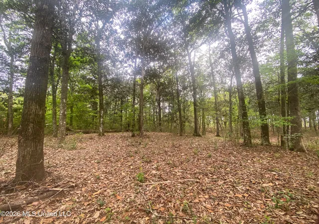 Homes for sale in Escatawpa, MS | Donniebrook Ln, Escatawpa, MS 39552 | MLS# 4143959
