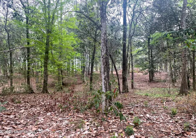 Homes for sale in Escatawpa, MS | Donniebrook Ln, Escatawpa, MS 39552 | MLS# 4143959