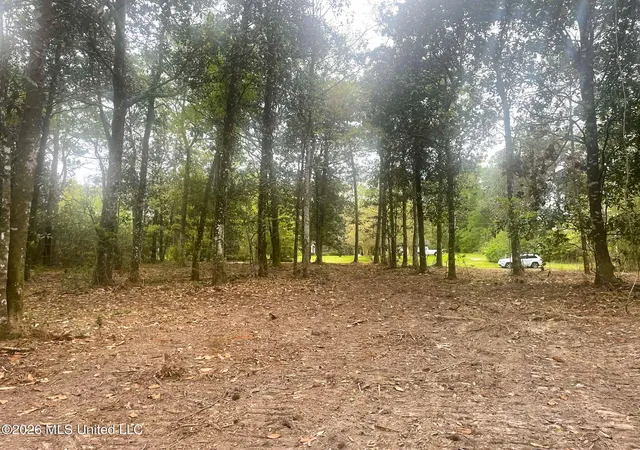 Homes for sale in Escatawpa, MS | Donniebrook Ln, Escatawpa, MS 39552 | MLS# 4143959