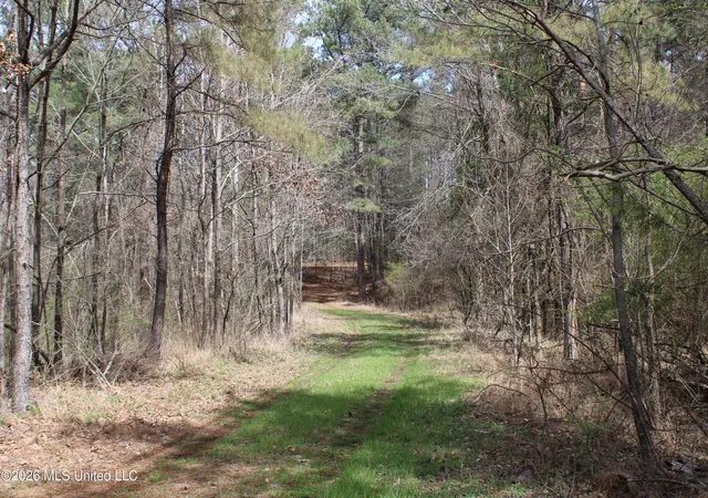 Photo 1 of Land for sale at 4500 Jaybird Rd, Hernando, MS 38632 | MLS# 4143981 | Listing updated on 2026-03-28