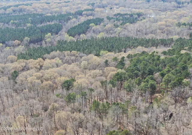 Photo 2 of Land for sale at 4500 Jaybird Rd, Hernando, MS 38632 | MLS# 4143981 | Listing updated on 2026-03-28