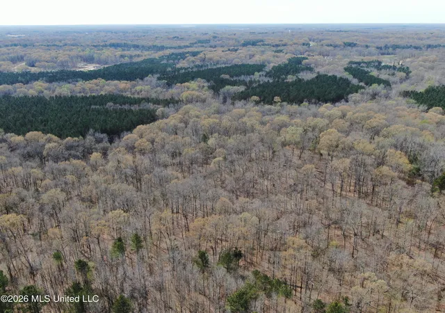 Photo 4 of Land for sale at 4500 Jaybird Rd, Hernando, MS 38632 | MLS# 4143981 | Listing updated on 2026-03-28