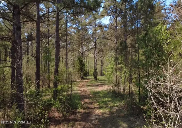 3rd image of 1256 Barnes Rd Rd, Canton, MS 39046 | MLS# 4144005