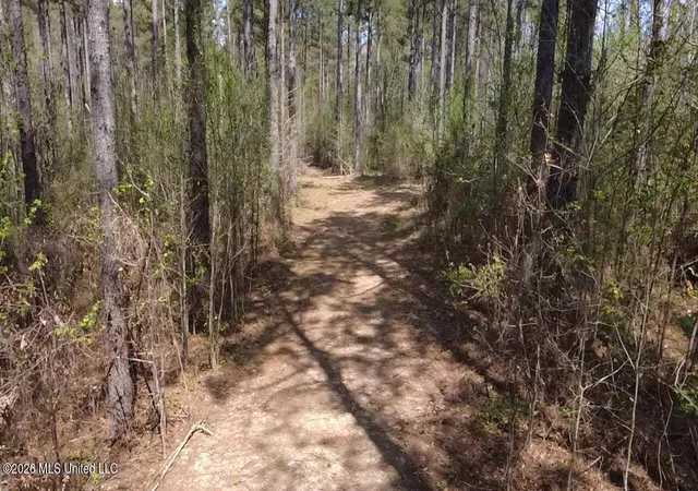 5th image of 1256 Barnes Rd Rd, Canton, MS 39046 | MLS# 4144005