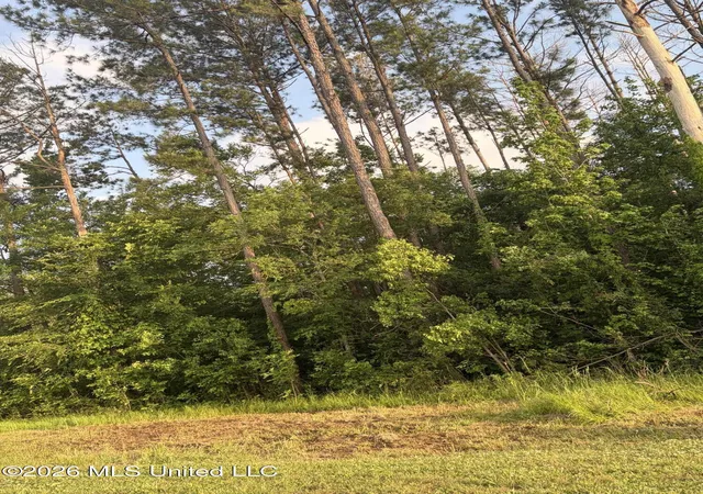 Photo 1 of Land for sale at Airport Rd, Pearl, MS 39208 | MLS# 4144071 | Listing updated on 2026-06-25