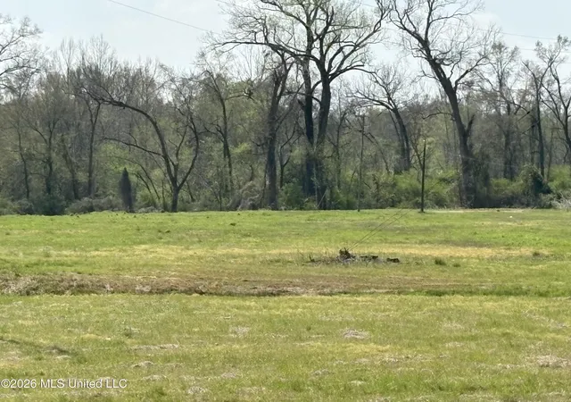 Homes for sale in Lexington, MS | 144 Henry St, Lexington, MS 39095 | MLS# 4144073