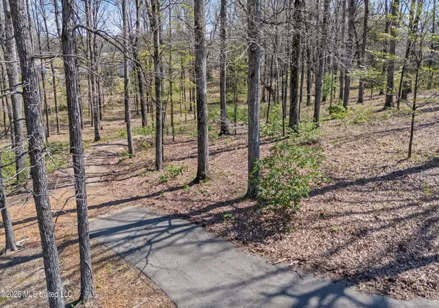Photo 4 of Single family home for sale at 8730 College Rd, Olive Branch, MS 38654 | MLS# 4144082 | Listing updated on 2026-08-21