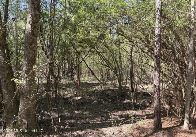 Homes for sale in Bogue Chitto, MS | Sw Auburn Dr, Bogue Chitto, MS 39629 | MLS# 4144220
