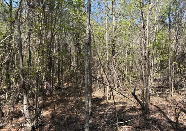 Homes for sale in Bogue Chitto, MS | Sw Auburn Dr, Bogue Chitto, MS 39629 | MLS# 4144220