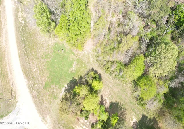 3rd image of 150 Central Blvd, Flora, MS 39071 | MLS# 4144202