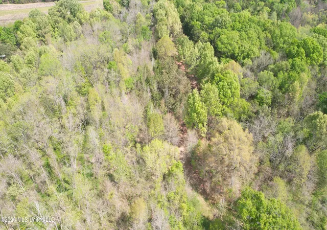 4th image of 150 Central Blvd, Flora, MS 39071 | MLS# 4144202