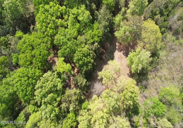 5th image of 150 Central Blvd, Flora, MS 39071 | MLS# 4144202