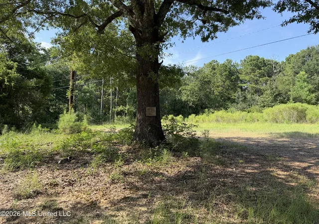 Photo 1 of Land for sale at 2374 Ms 22, Canton, MS 39046 | MLS# 4157435 | Listing updated on 2026-07-29