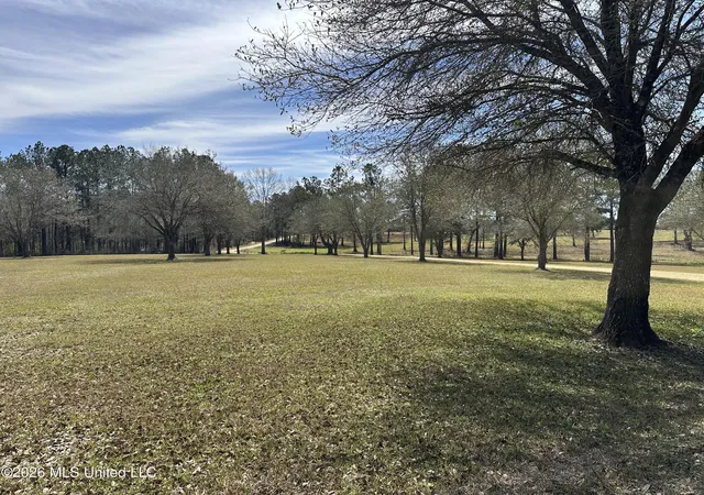 Photo 3 of Land for sale at Nhn N New Arbor Rd, Poplarville, MS 39470 | MLS# 4144454 | Listing updated on 2026-04-11