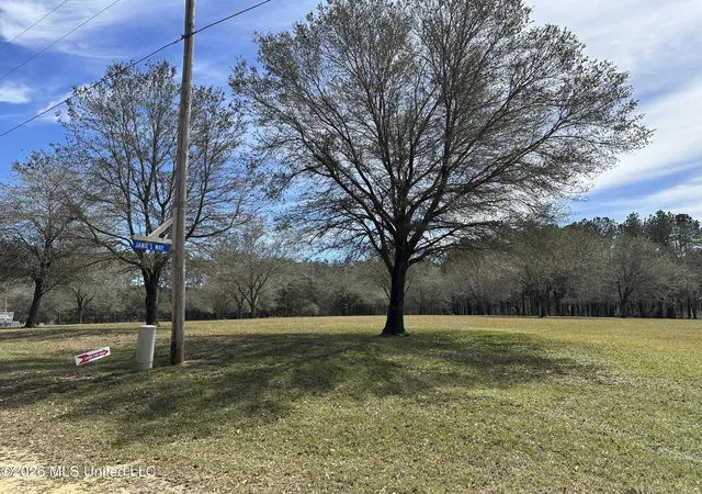 Photo 4 of Land for sale at Nhn N New Arbor Rd, Poplarville, MS 39470 | MLS# 4144454 | Listing updated on 2026-04-11