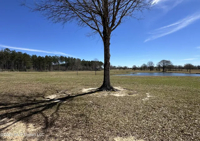 3rd image of Northern Exposure, Poplarville, MS 39470 | MLS# 4144461