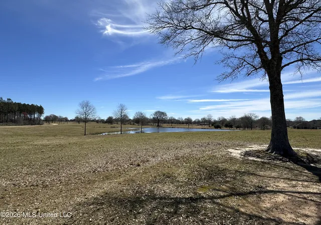 4th image of Northern Exposure, Poplarville, MS 39470 | MLS# 4144461