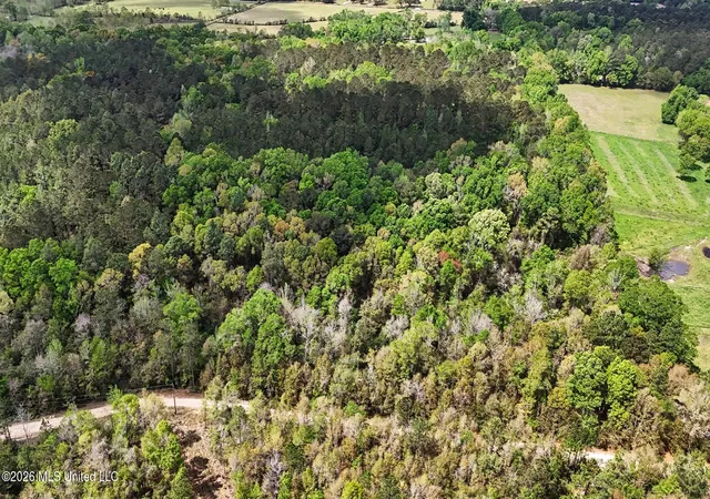 Homes for sale in Lucedale, MS | 0 Pete Dixon Rd, Lucedale, MS 39452 | MLS# 4144518