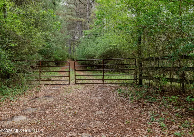 Photo 2 of Land for sale at 501 Stanford Lake Rd, Poplarville, MS 39470 | MLS# 4144621 | Listing updated on 2026-04-11