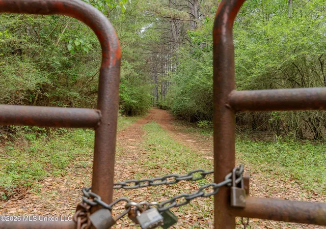 Photo 3 of Land for sale at 501 Stanford Lake Rd, Poplarville, MS 39470 | MLS# 4144621 | Listing updated on 2026-04-11