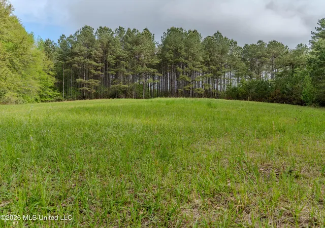 Photo 3 of Land for sale at 501 Stanford Lake Rd, Poplarville, MS 39470 | MLS# 4144621 | Listing updated on 2026-04-11