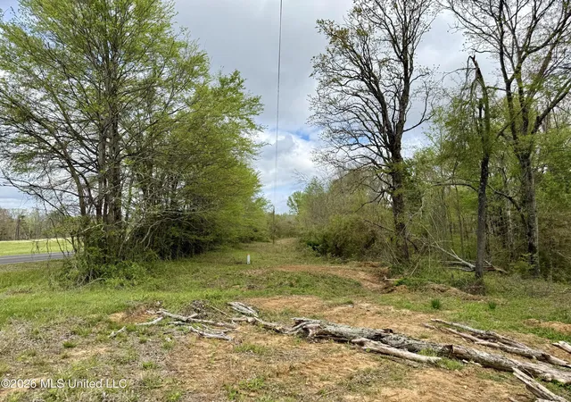 Homes for sale in Holly Springs, MS | Mississippi 7, Holly Springs, MS 38635 | MLS# 4144738