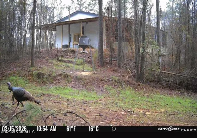 Homes for sale in Eupora, MS | 1711 US 82, Eupora, MS 39744 | MLS# 4144753