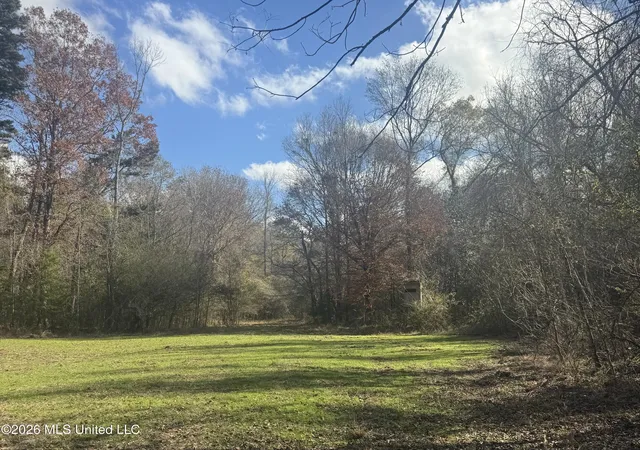 Homes for sale in Tylertown, MS | Mckenzie Rd, Tylertown, MS 39667 | MLS# 4144645