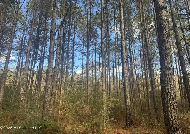 Homes for sale in Tylertown, MS | Mckenzie Rd, Tylertown, MS 39667 | MLS# 4144645