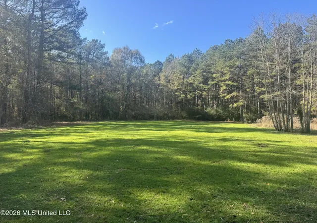 Homes for sale in Tylertown, MS | Mckenzie Rd, Tylertown, MS 39667 | MLS# 4144645