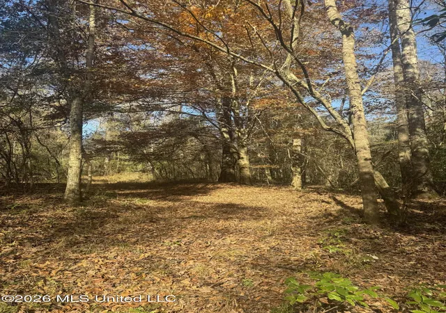 Homes for sale in Tylertown, MS | Mckenzie Rd, Tylertown, MS 39667 | MLS# 4144645