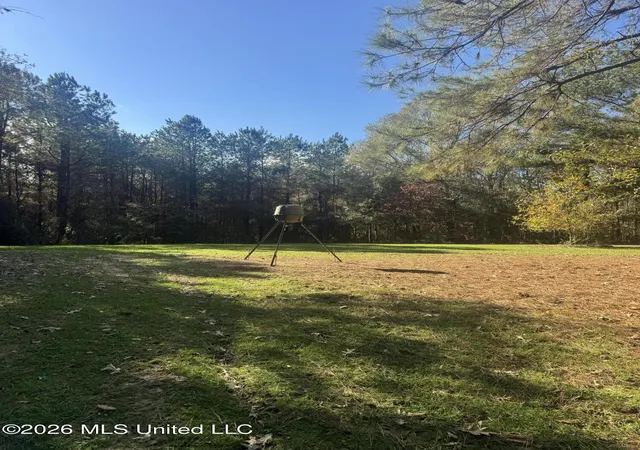 Homes for sale in Tylertown, MS | Mckenzie Rd, Tylertown, MS 39667 | MLS# 4144645