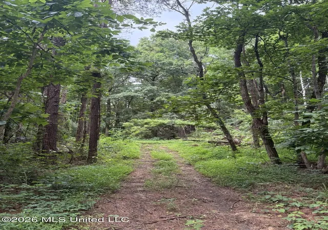 Homes for sale in Blue Springs, MS | Mississippi 9, Blue Springs, MS 38828 | MLS# 4144695