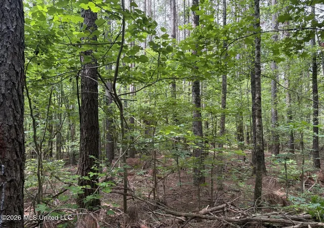 Homes for sale in Blue Springs, MS | Mississippi 9, Blue Springs, MS 38828 | MLS# 4144695