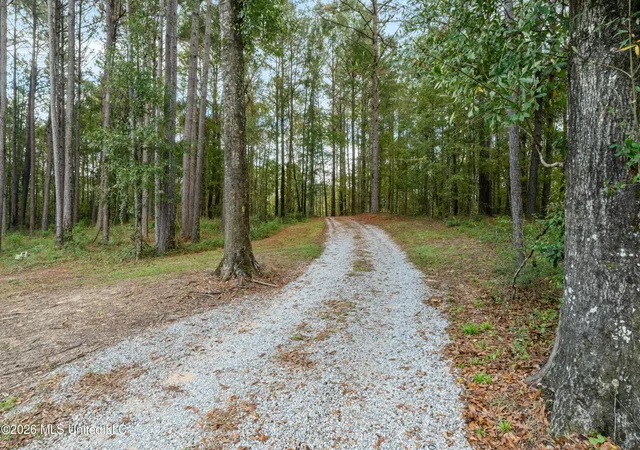 Homes for sale in Petal, MS | 75 Otis Lee Rd, Petal, MS 39465 | MLS# 4144708