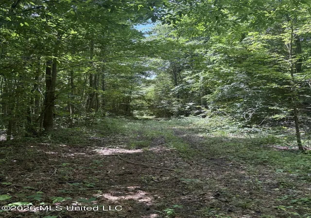 Homes for sale in New Albany, MS | County Road 180, New Albany, MS 38652 | MLS# 4144802