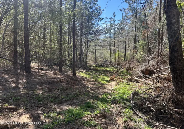 Homes for sale in Pontotoc, MS | Mississippi 41, Pontotoc, MS 38863 | MLS# 4144762