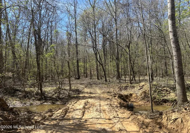 Homes for sale in Pontotoc, MS | Mississippi 41, Pontotoc, MS 38863 | MLS# 4144762