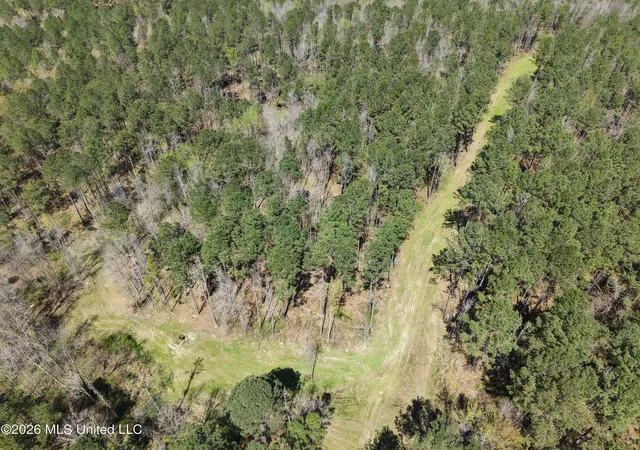 Homes for sale in Meadville, MS | Oldenburg Rd, Meadville, MS 39653 | MLS# 4144764