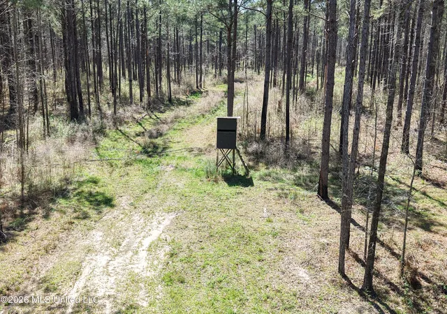 Homes for sale in Meadville, MS | Oldenburg Rd, Meadville, MS 39653 | MLS# 4144764