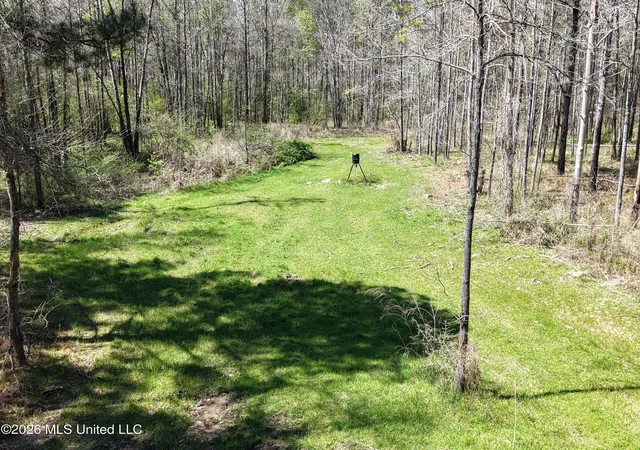 Homes for sale in Meadville, MS | Oldenburg Rd, Meadville, MS 39653 | MLS# 4144764