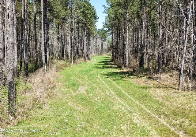 Homes for sale in Meadville, MS | Oldenburg Rd, Meadville, MS 39653 | MLS# 4144764