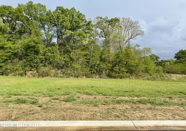 Photo 3 of Land for sale at 00 Plainview Dr Lot 4, Vicksburg, MS 39180 | MLS# 4144908 | Listing updated on 2026-10-01
