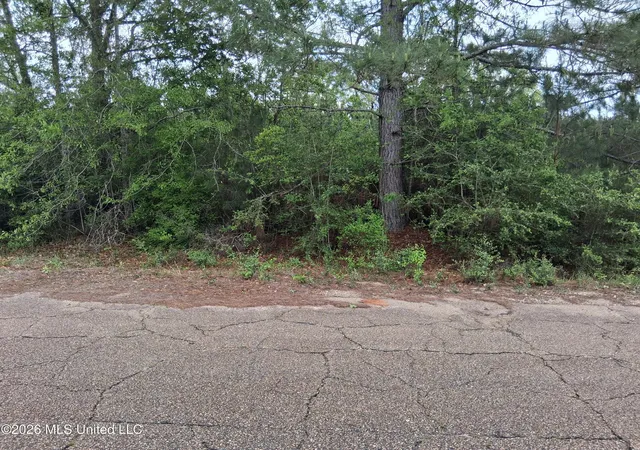 Homes for sale in Lumberton, MS | 0 E Ladner Dr, Lumberton, MS 39455 | MLS# 4144954