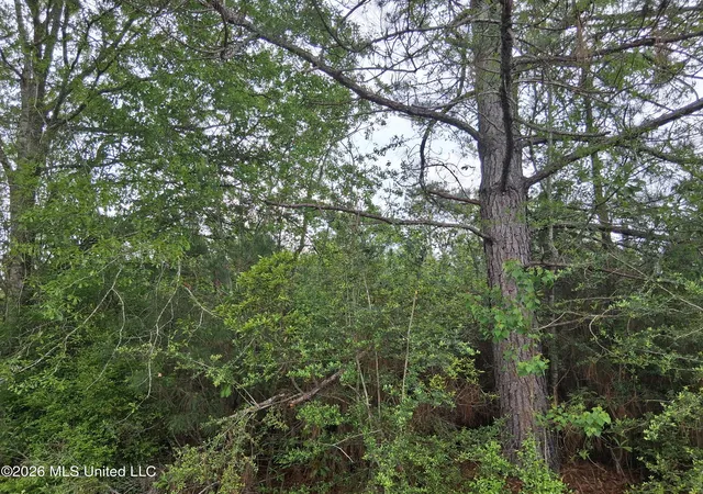 Homes for sale in Lumberton, MS | 0 E Ladner Dr, Lumberton, MS 39455 | MLS# 4144954