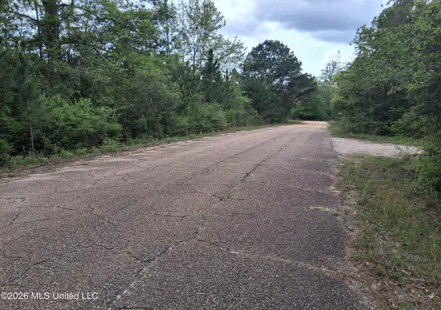 Homes for sale in Lumberton, MS | 0 E Ladner Dr, Lumberton, MS 39455 | MLS# 4144954